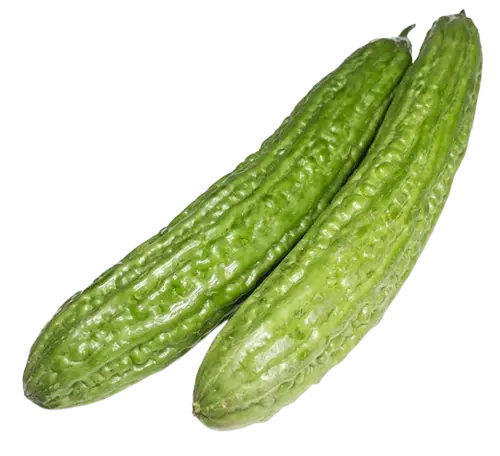 Ampalaya / Bitter Melon