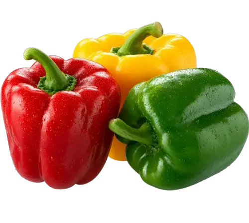 Bell pepper / Capsicum