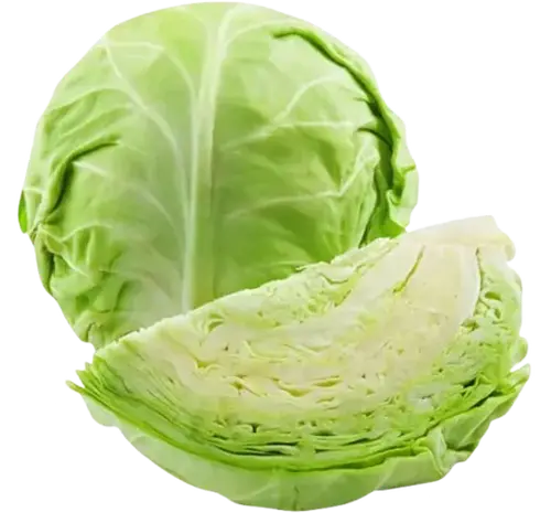 Repolyo / Cabbage