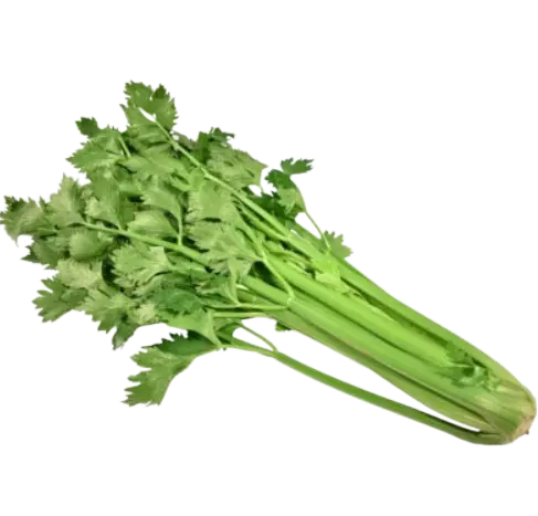 Celery
