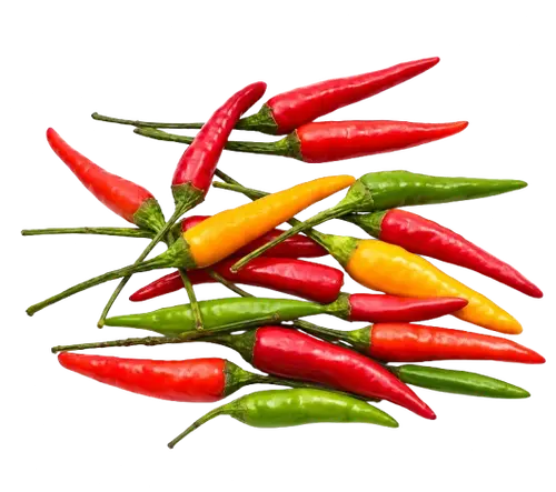 Sili Kulikot / Wild chili