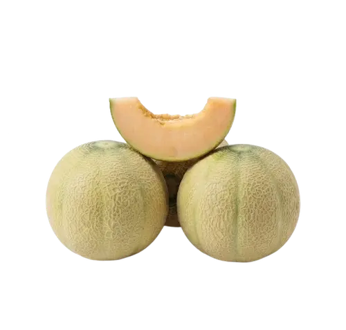 Melon (local)