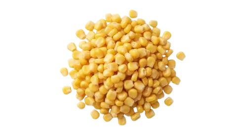 Sweet corn kernel/ pinakpak