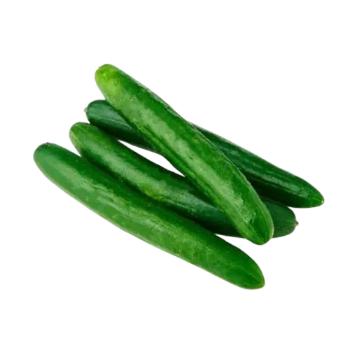 Japanese Cucumber