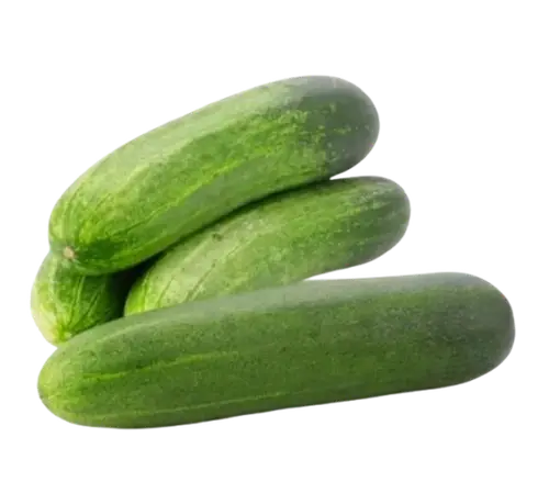 Pipino / Cucumber (Local)
