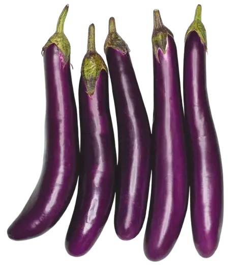 Talong / Eggplant