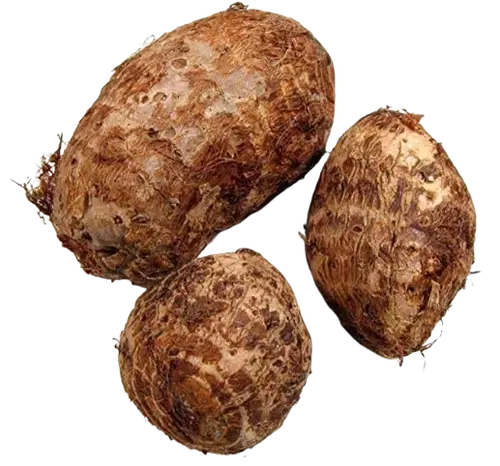 Gabi / Taro