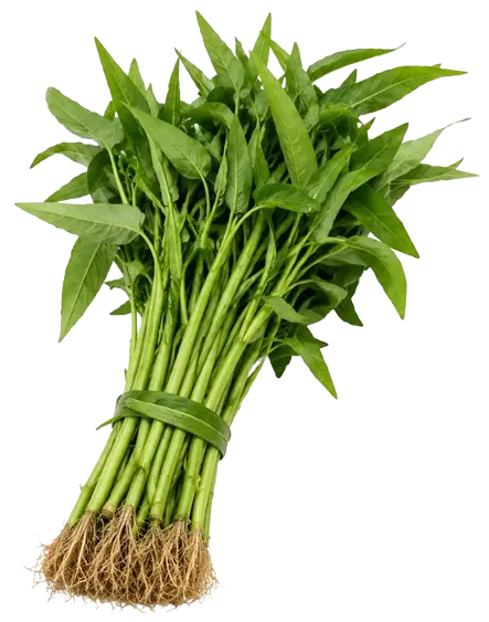 Chinese Kangkong