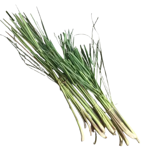 Tanglad / Lemon grass