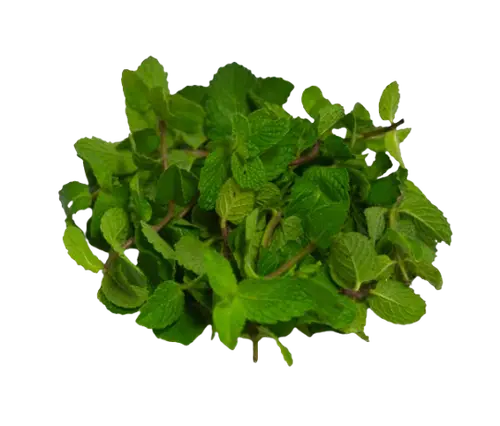 Mint Leaves
