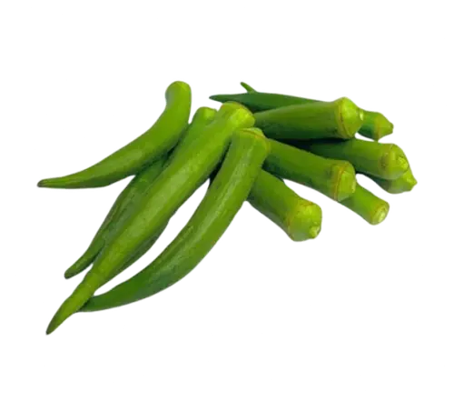 Okra