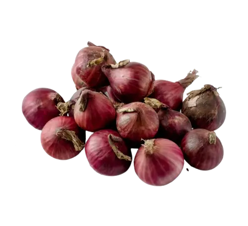 Bombay / Red onion