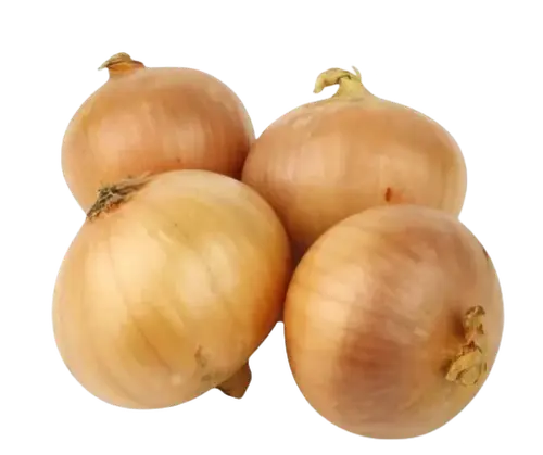 White onion