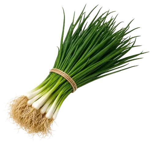 Sibuyas dahon / Spring Onion