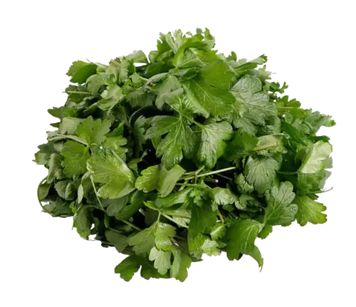 Parsley