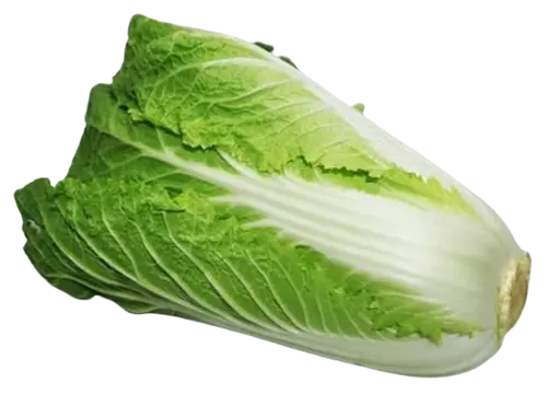 Pechay / Chinese Cabbage (Ombok)