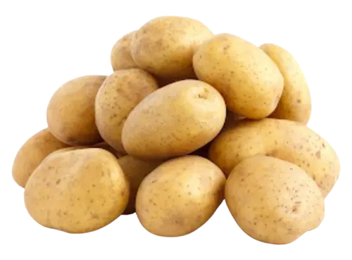 Potato