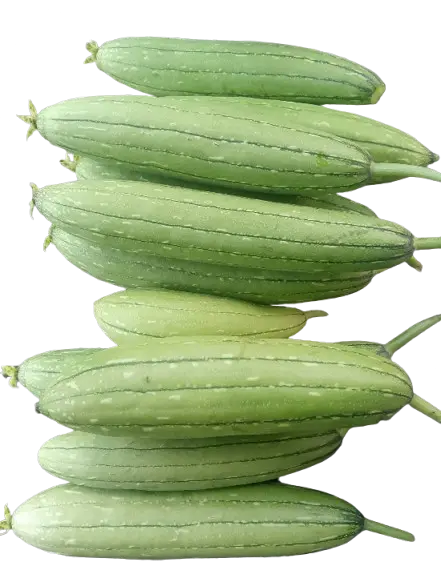 Sikwa / Sponge gourd