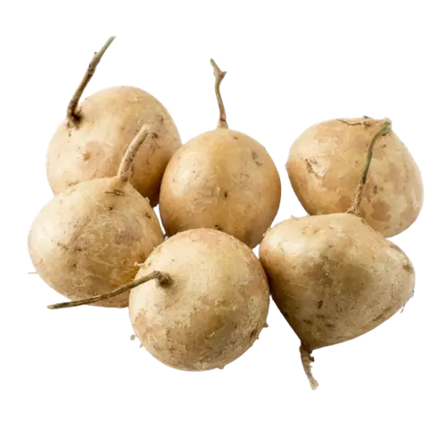 Singkamas / Turnip