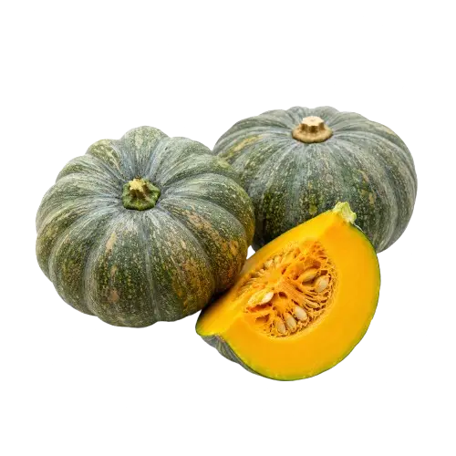 Squash / Kalabasa