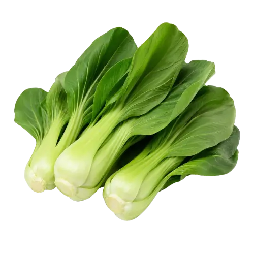Taiwan Pechay (Bokchoy)