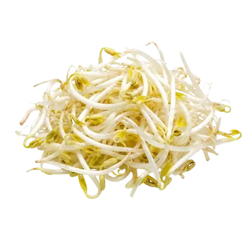 Tauge / Mung Bean Sprout