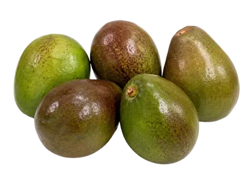 Avocado