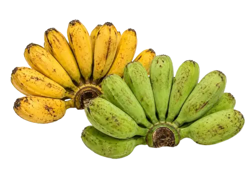 Banana (Cardaba)
