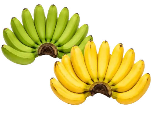 Banana (Lakatan)