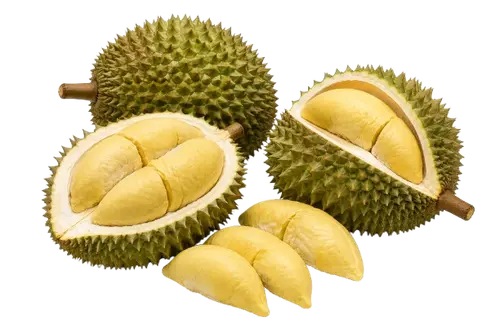 Durian