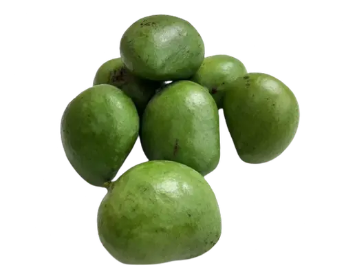 Indian Mango