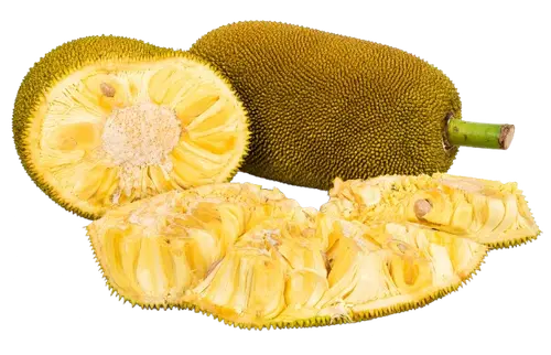 Jackfruit
