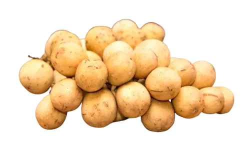 Lansones