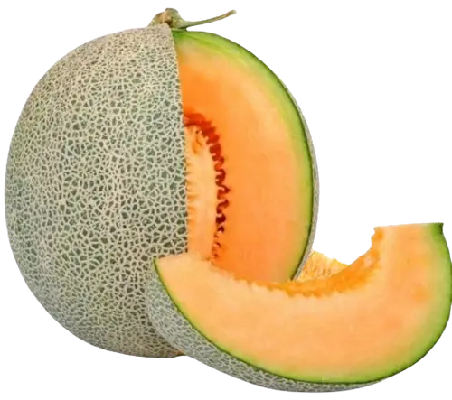 Melon (imported)