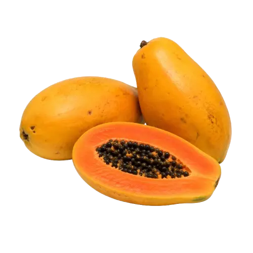 Papaya Redlady