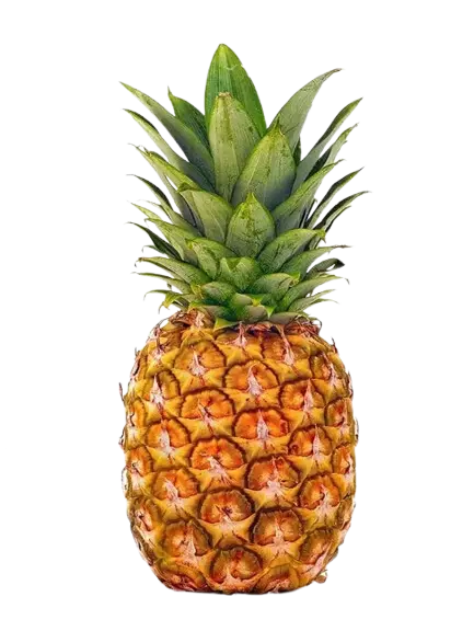 Pineapple (Ormoc)