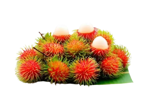 Rambutan