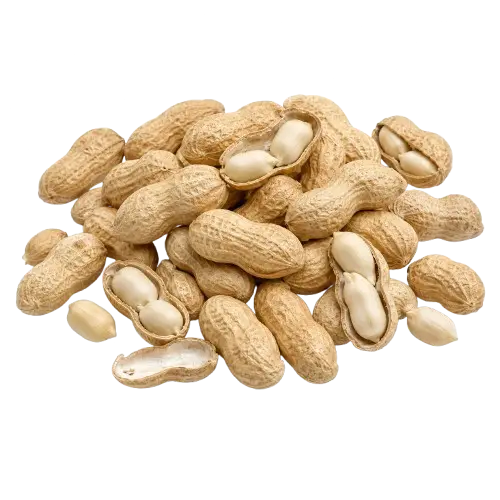 Raw Peanut With Shell