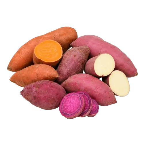 Sweet Potato