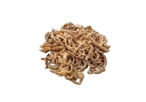 Chicken Tinae / small intestine