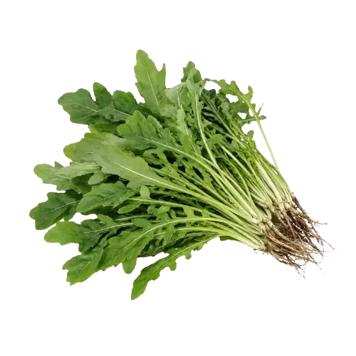 Arugula