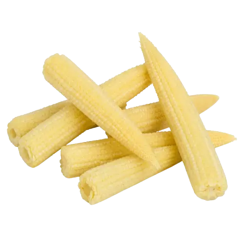 Young Corn