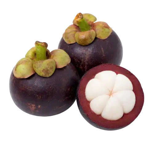 Mangosteen