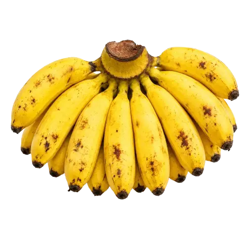 Banana (Latundan / Tundan)