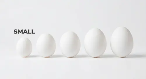 Egg (small)