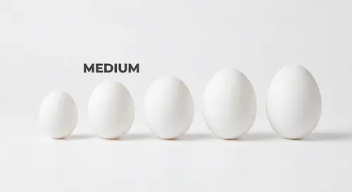 Egg (medium)