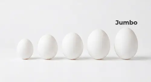 Egg (Jumbo)