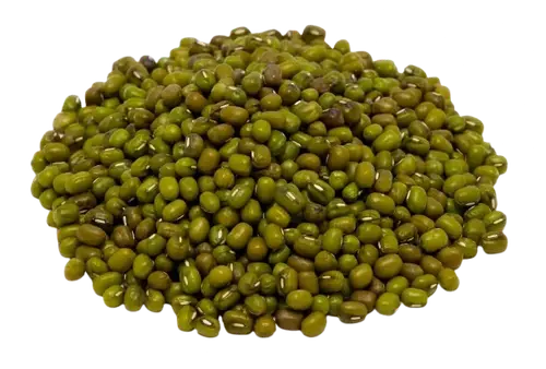 Monggo