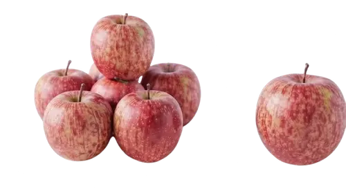 Apple Fuji (small)