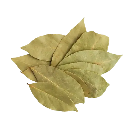 Paminta Dapon / Dahon sa Laurel